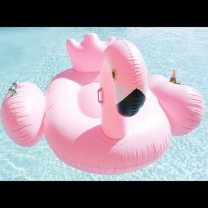 Pink Flamingo Float Brand New